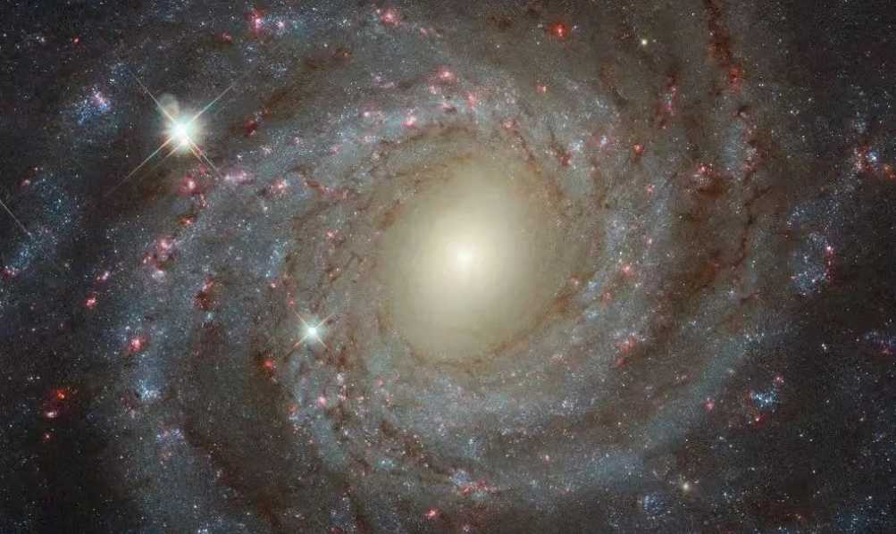 NGC 3344: A Face-On Spiral Galaxy Unveiled in Hubble’s Multispectral Glow